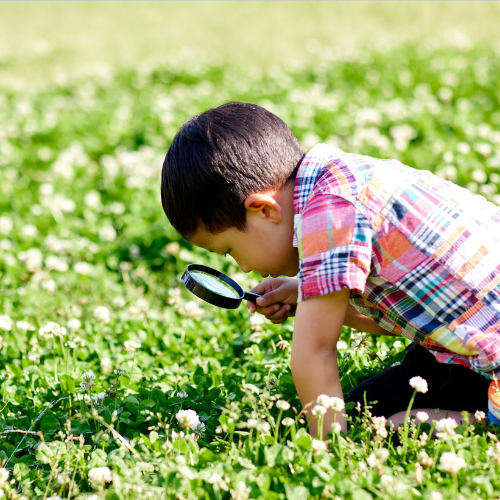 虫眼鏡で何かを見つける少年